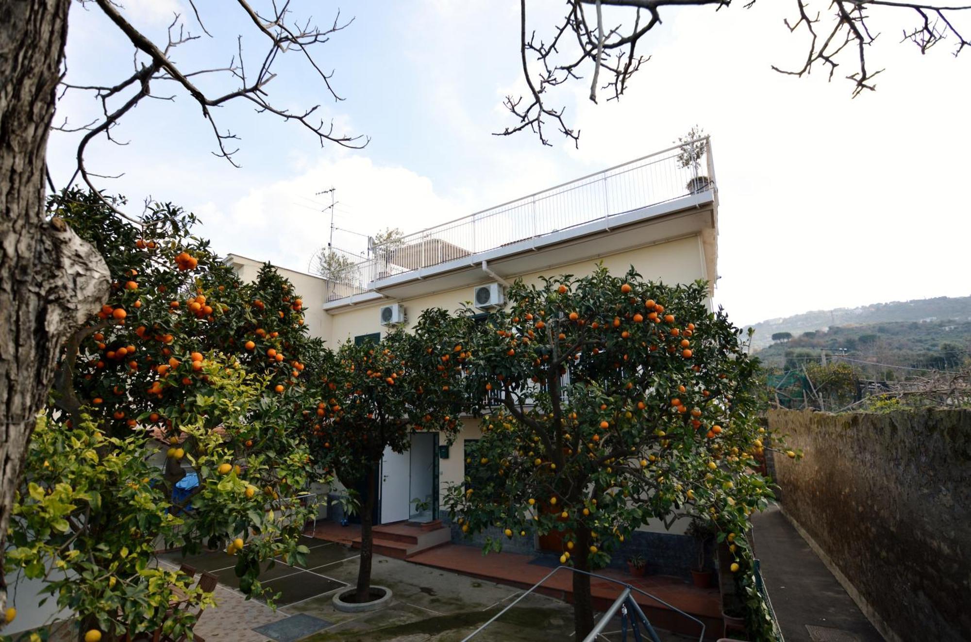 La Terrazza Family Holidays - Sorrento Coast Sant'Agnello Luaran gambar